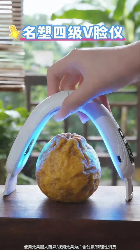 第6条第1帧