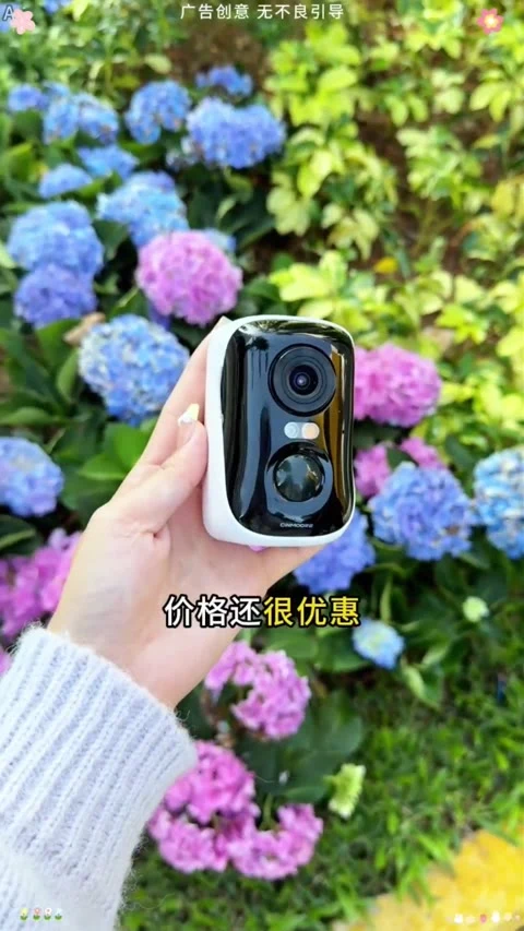 第1条第6帧