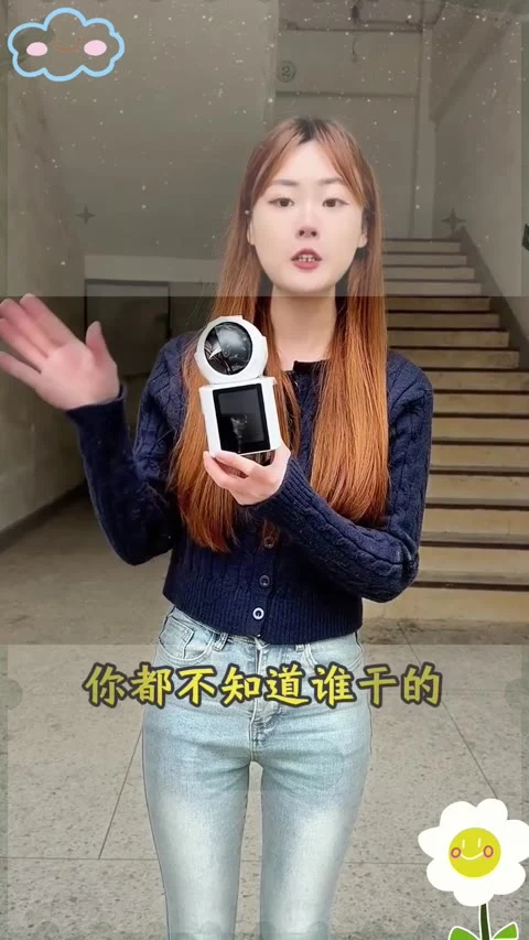 第5条第3帧