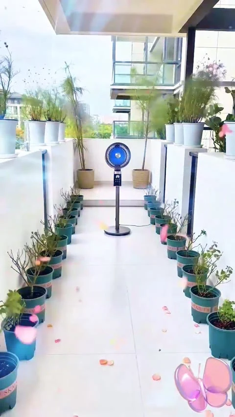 第1条第3帧