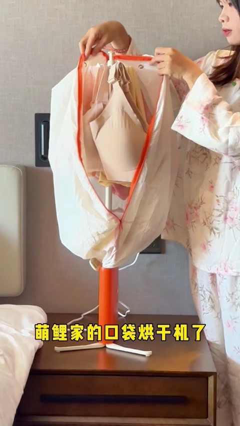 第3条第4帧