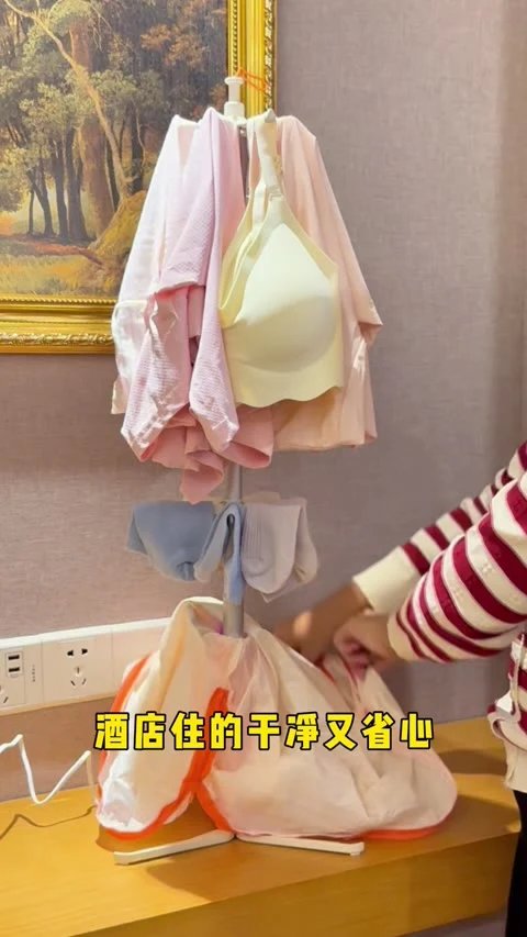 第3条第6帧